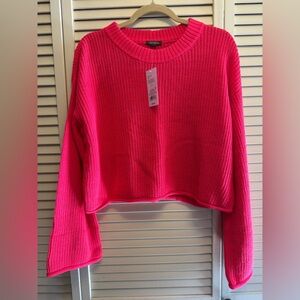 Wild Fable Large Bright Pink Knit Sweater. Measurements are in the Photos.